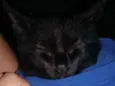 Esmeralda