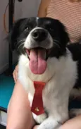 Steven