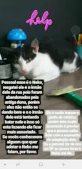 Neko