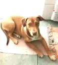 Zoe