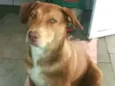 Zoe