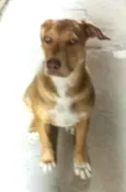 Zoe