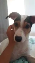 Belinha