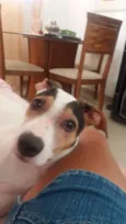 Belinha