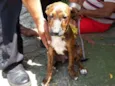 Marley