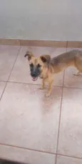 nina