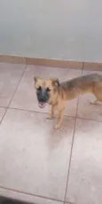nina