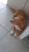 Bebê