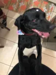Neguinha