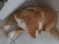 Bebê