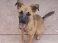 nina
