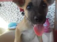 Pipoquinha