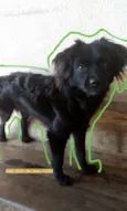 Frederico