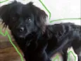 Frederico