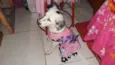 Hana 