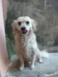 Belinha e Suzi