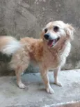 Belinha e Suzi