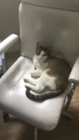 TITA