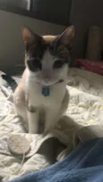 TITA