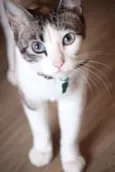 TITA