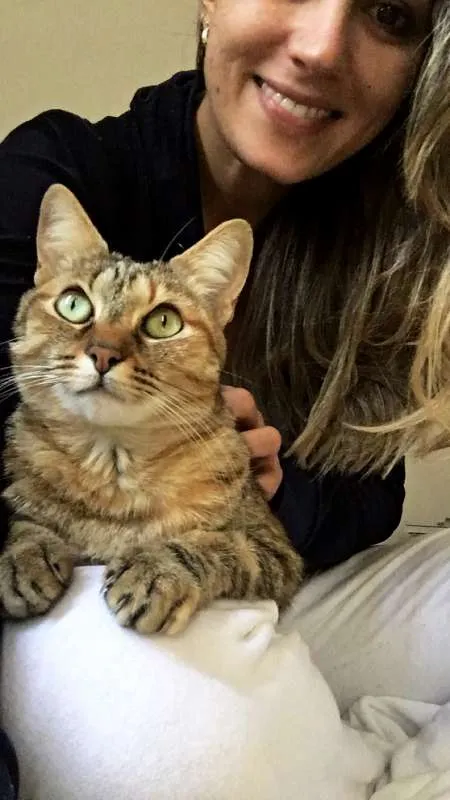 Gato ra a não Definida idade 4 anos nome NINA