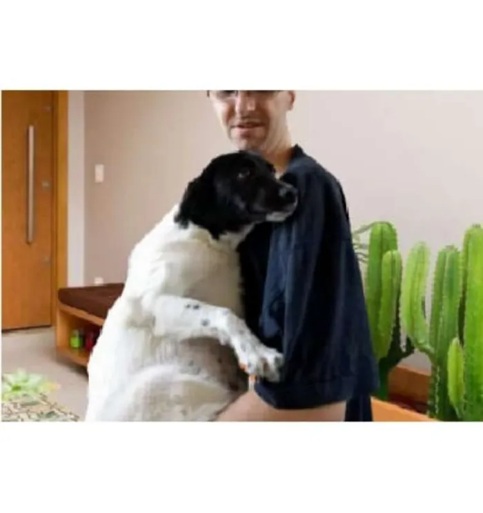 Cachorro ra a srd idade 2 a 6 meses nome Panda