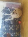 Nina