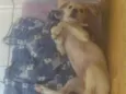 Nina