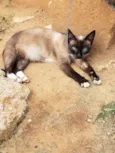 Princesa