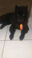 Zeus