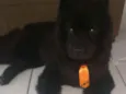 Zeus