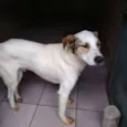 Príncipe
