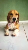 Marley babaloo