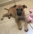 Athena