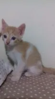 Bety