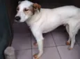 Príncipe