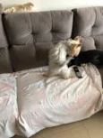 ??