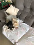??