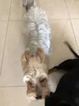 ??