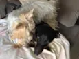??