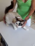 Princesa