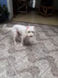 Princesa
