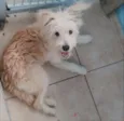 Mel