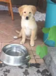 Fred