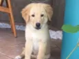 Fred
