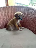 Bebês lindos