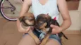Luna,Cisco,Lola e Es