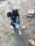 Billy