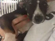 BINGO