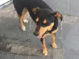 Nina